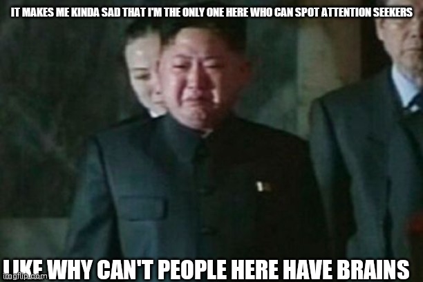 Kim Jong Un Sad | IT MAKES ME KINDA SAD THAT I'M THE ONLY ONE HERE WHO CAN SPOT ATTENTION SEEKERS; LIKE WHY CAN'T PEOPLE HERE HAVE BRAINS | image tagged in memes,kim jong un sad | made w/ Imgflip meme maker