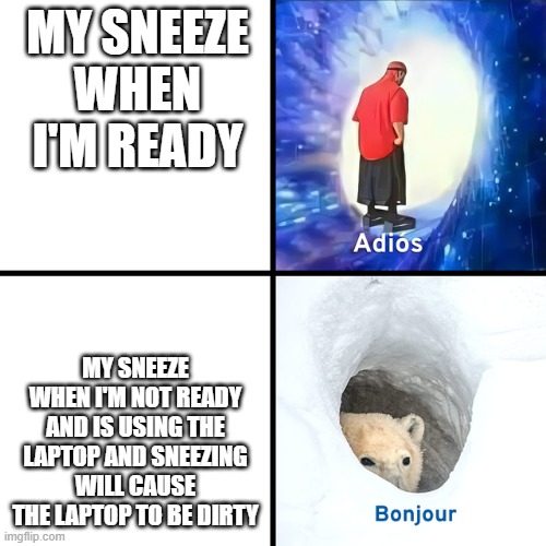 relate? | MY SNEEZE WHEN I'M READY; MY SNEEZE WHEN I'M NOT READY AND IS USING THE LAPTOP AND SNEEZING WILL CAUSE THE LAPTOP TO BE DIRTY | image tagged in adios bonjour | made w/ Imgflip meme maker