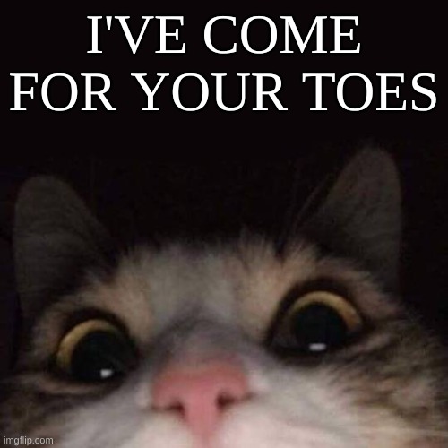 I'VE COME FOR YOUR TOES | image tagged in cats | made w/ Imgflip meme maker