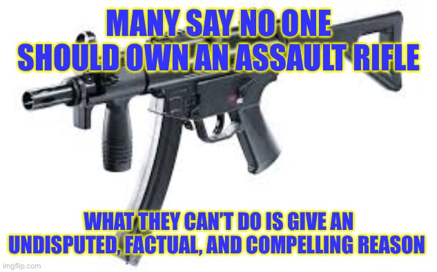 Assualt rifle | MANY SAY NO ONE SHOULD OWN AN ASSAULT RIFLE; WHAT THEY CAN’T DO IS GIVE AN UNDISPUTED, FACTUAL, AND COMPELLING REASON | image tagged in assualt rifle | made w/ Imgflip meme maker