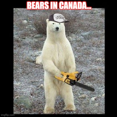 Chainsaw Bear Meme | BEARS IN CANADA... | image tagged in memes,chainsaw bear | made w/ Imgflip meme maker