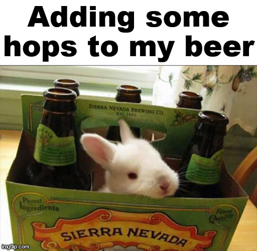 Adding some hops to my beer | image tagged in bunnies | made w/ Imgflip meme maker