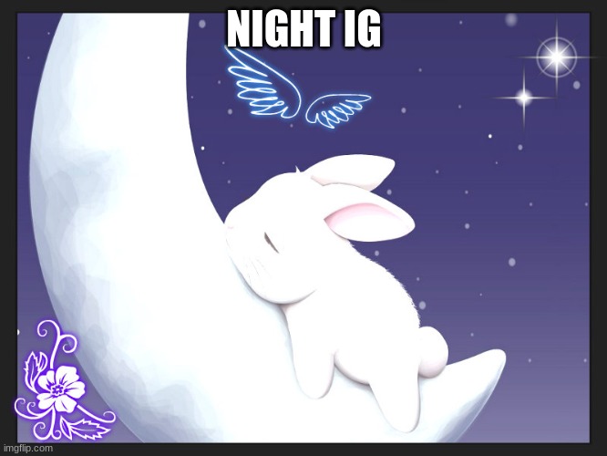 . | NIGHT IG | image tagged in good night bunny | made w/ Imgflip meme maker