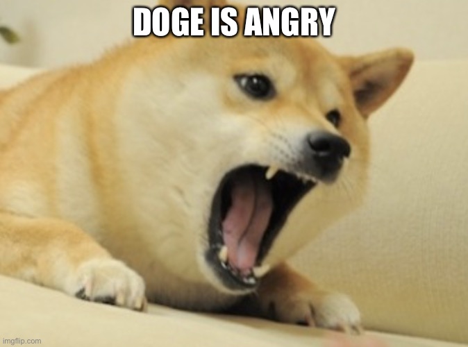 Doge bark | DOGE IS ANGRY | image tagged in doge bark | made w/ Imgflip meme maker