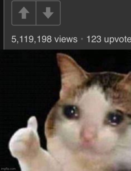 o-ok? | image tagged in approved crying cat | made w/ Imgflip meme maker