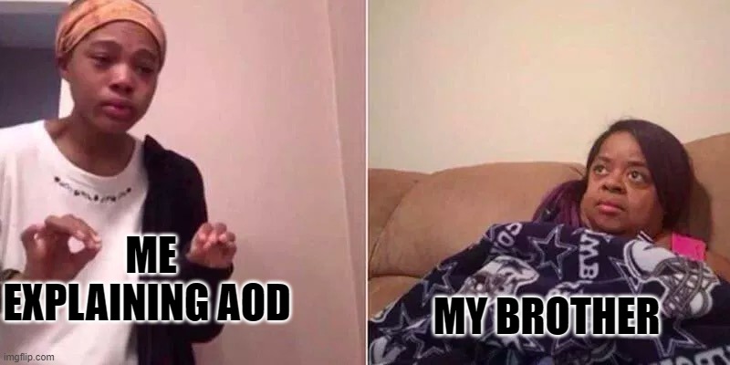 black girl scared | ME EXPLAINING AOD; MY BROTHER | image tagged in black girl scared | made w/ Imgflip meme maker