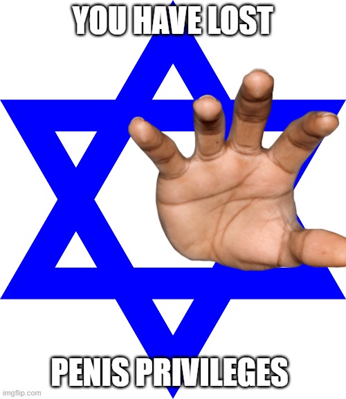 YOU HAVE LOST PENIS PRIVILEGES | made w/ Imgflip meme maker
