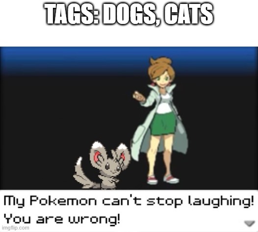 My Pokemon can't stop laughing! You are wrong! (Dark mode) | TAGS: DOGS, CATS | image tagged in my pokemon can't stop laughing you are wrong dark mode | made w/ Imgflip meme maker