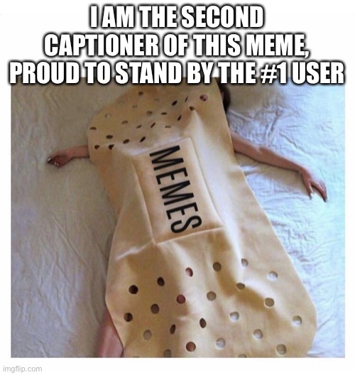 pog | I AM THE SECOND CAPTIONER OF THIS MEME, PROUD TO STAND BY THE #1 USER | image tagged in who_am_i | made w/ Imgflip meme maker