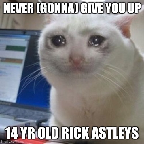 Crying cat | NEVER (GONNA) GIVE YOU UP 14 YR OLD RICK ASTLEYS | image tagged in crying cat | made w/ Imgflip meme maker