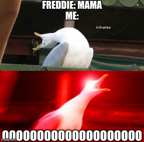 yes | FREDDIE: MAMA
ME:; OOOOOOOOOOOOOOOOOOOO | image tagged in inhaling seagull | made w/ Imgflip meme maker