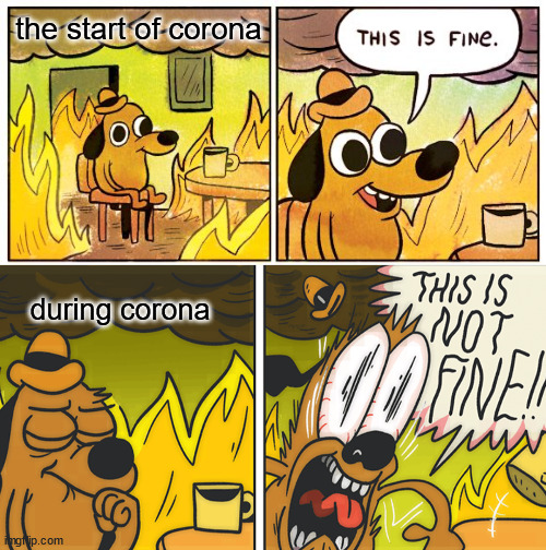 the start of corona; during corona | image tagged in memes,this is fine,this is not fine | made w/ Imgflip meme maker