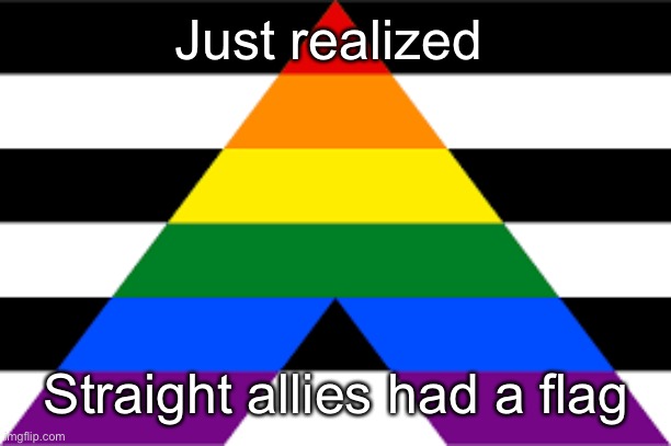 I’m so glad | Just realized; Straight allies had a flag | image tagged in lgbtq | made w/ Imgflip meme maker