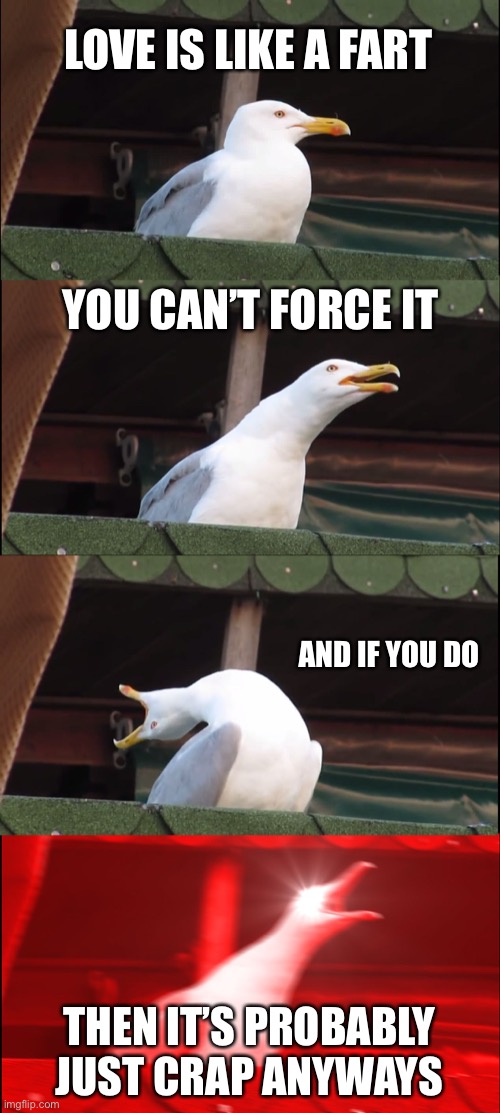 Love is like a fart | LOVE IS LIKE A FART; YOU CAN’T FORCE IT; AND IF YOU DO; THEN IT’S PROBABLY JUST CRAP ANYWAYS | image tagged in memes,inhaling seagull | made w/ Imgflip meme maker