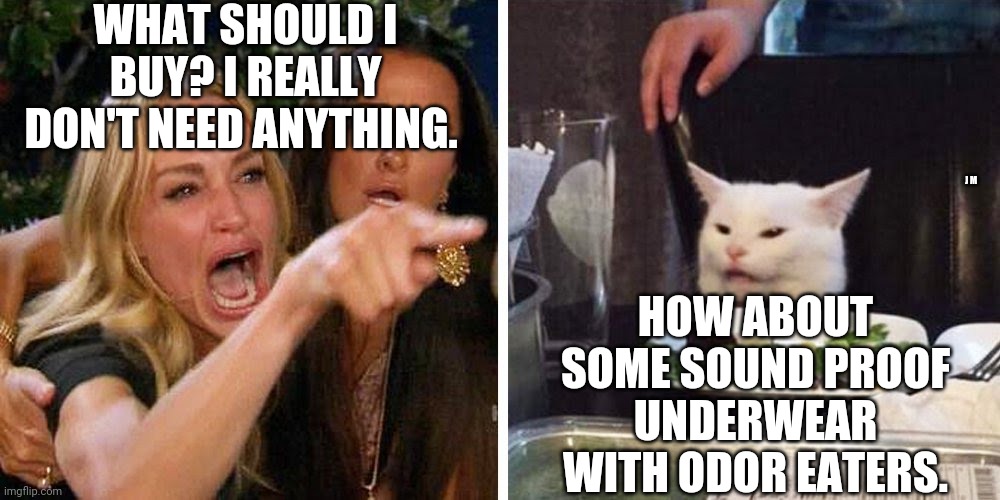 Smudge the cat | WHAT SHOULD I BUY? I REALLY DON'T NEED ANYTHING. J M; HOW ABOUT SOME SOUND PROOF UNDERWEAR WITH ODOR EATERS. | image tagged in smudge the cat | made w/ Imgflip meme maker