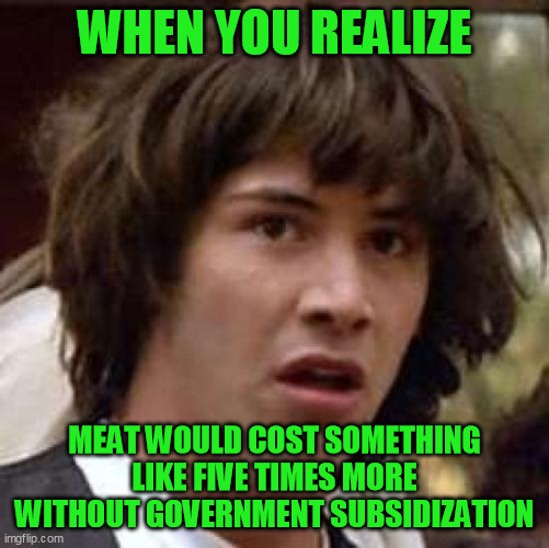 Conspiracy Keanu Meme | WHEN YOU REALIZE MEAT WOULD COST SOMETHING LIKE FIVE TIMES MORE WITHOUT GOVERNMENT SUBSIDIZATION | image tagged in memes,conspiracy keanu | made w/ Imgflip meme maker