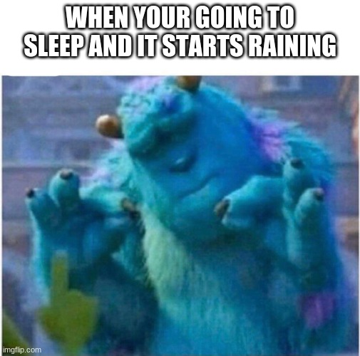 Pleased Sulley | WHEN YOUR GOING TO SLEEP AND IT STARTS RAINING | image tagged in pleased sulley | made w/ Imgflip meme maker