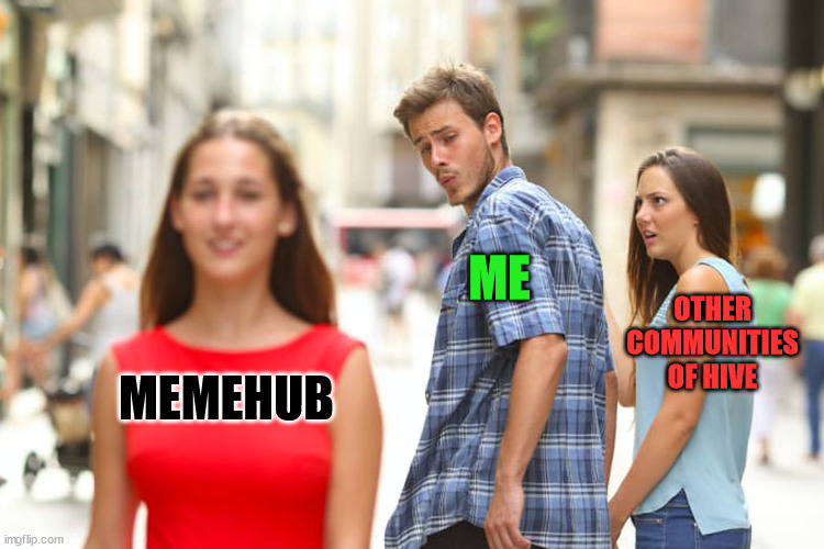 what is your community | ME; OTHER COMMUNITIES OF HIVE; MEMEHUB | image tagged in hive,memehub,cryptocurrency,crypto,funny,meme | made w/ Imgflip meme maker