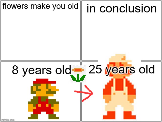 Super Mario | flowers make you old; in conclusion; 25 years old; 8 years old | image tagged in memes,blank comic panel 2x2,flowers,super mario,funny | made w/ Imgflip meme maker