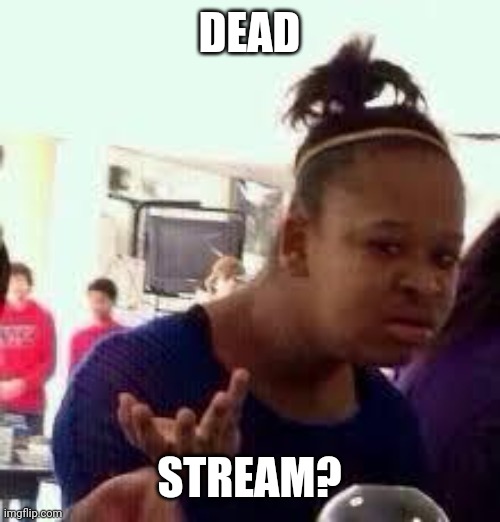 Dead stream? probably yes | DEAD; STREAM? | image tagged in dead,stream | made w/ Imgflip meme maker