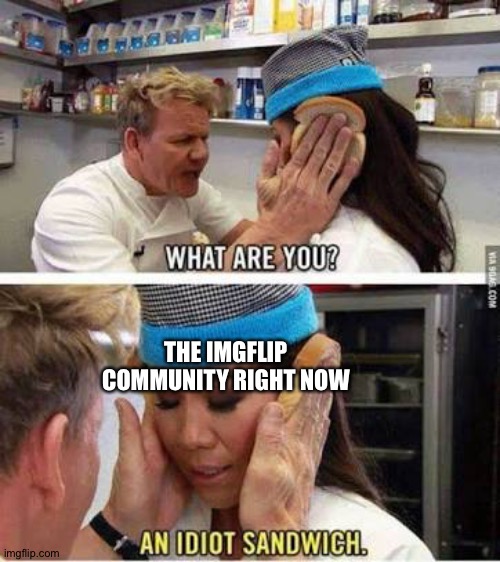 Idiot sandwich | THE IMGFLIP COMMUNITY RIGHT NOW | image tagged in idiot sandwich | made w/ Imgflip meme maker