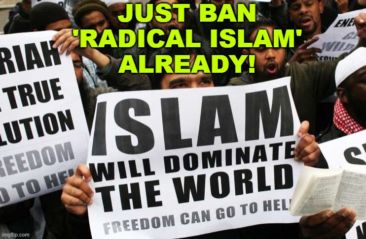 Just Ban 'Radical Islam' Already! | JUST BAN
'RADICAL ISLAM'
ALREADY! | image tagged in islam will dominate the world | made w/ Imgflip meme maker