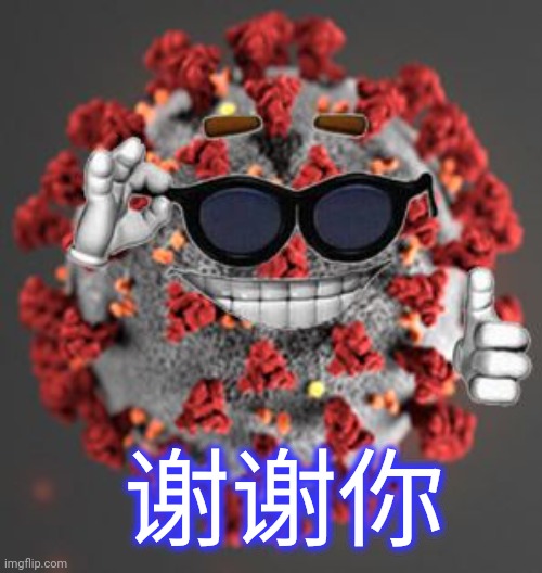 Coronavirus | 谢谢你 | image tagged in coronavirus | made w/ Imgflip meme maker