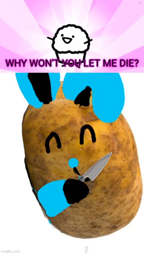 ... | F | image tagged in i am an idiot,oh look the truth,ok stop | made w/ Imgflip meme maker