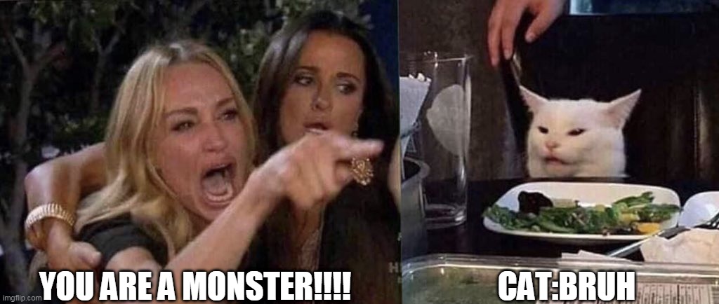 hahahaha | YOU ARE A MONSTER!!!! CAT:BRUH | image tagged in woman yelling at cat,meow,cat lover | made w/ Imgflip meme maker