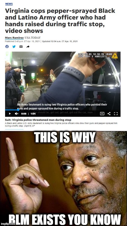 Shout out to MD. Good Job! | THIS IS WHY; BLM EXISTS YOU KNOW | image tagged in this morgan freeman,blm,politics,memes,police brutality,freedom | made w/ Imgflip meme maker