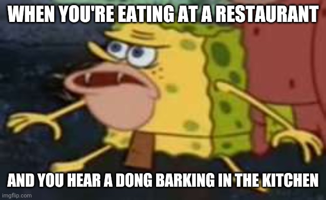 Spongegar Meme | WHEN YOU'RE EATING AT A RESTAURANT; AND YOU HEAR A DONG BARKING IN THE KITCHEN | image tagged in memes,spongegar | made w/ Imgflip meme maker