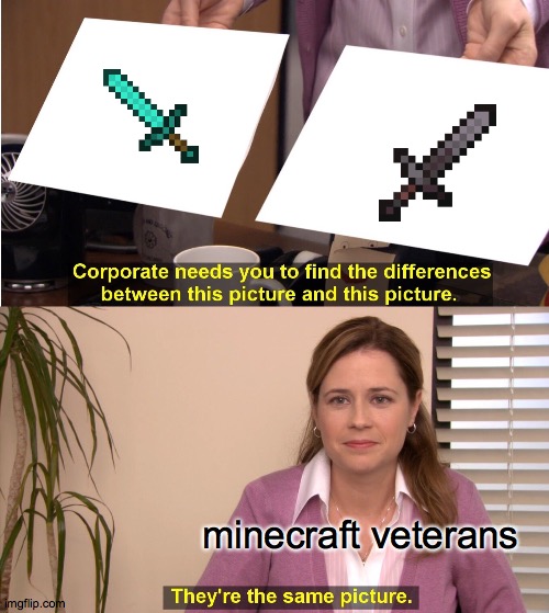 They're The Same Picture Meme | minecraft veterans | image tagged in memes,they're the same picture | made w/ Imgflip meme maker