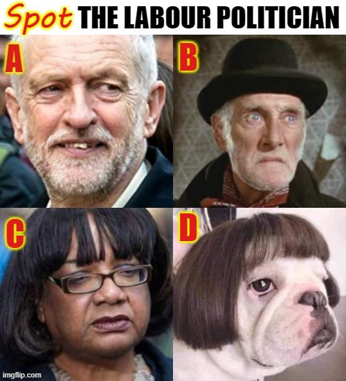 Spot the Labour Politician | Spot; D | image tagged in who let the dogs out | made w/ Imgflip meme maker