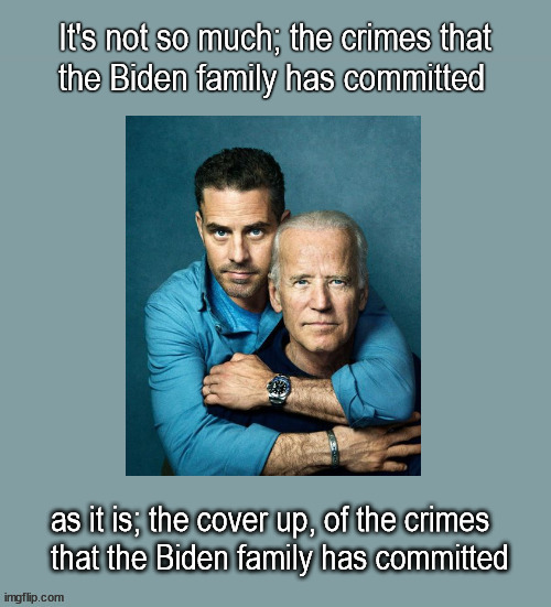 It's not the crime, it's the cover up | image tagged in politics,biden | made w/ Imgflip meme maker