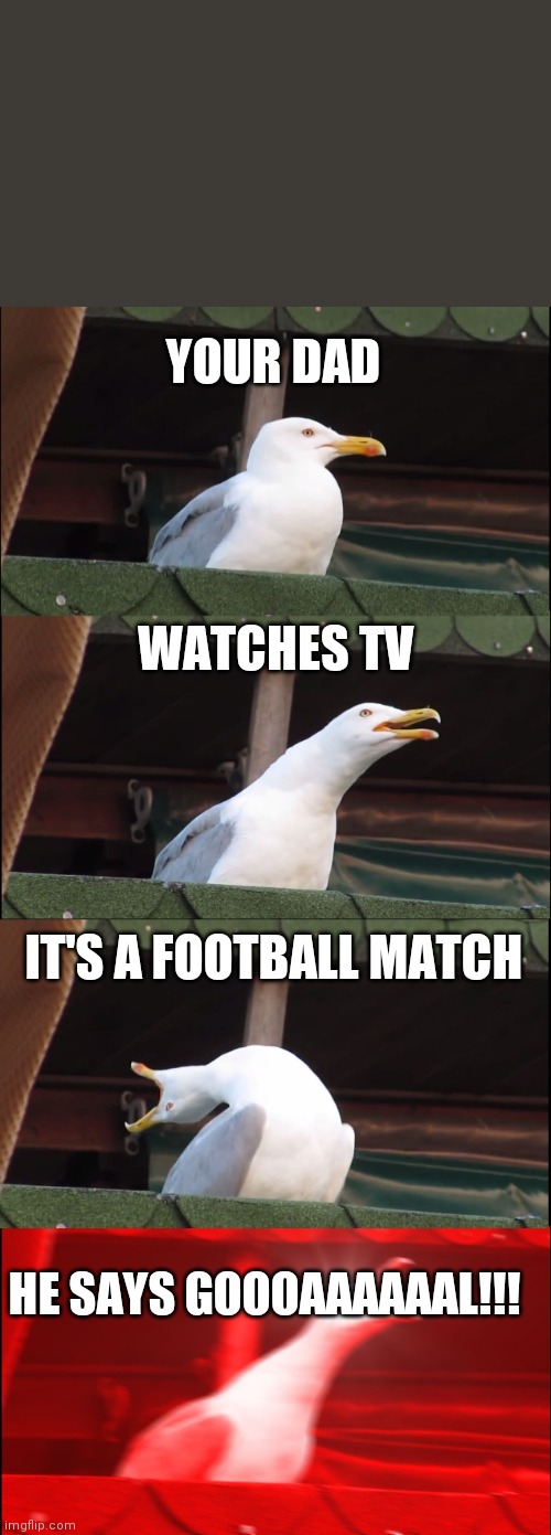 Inhaling Seagull | YOUR DAD; WATCHES TV; IT'S A FOOTBALL MATCH; HE SAYS GOOOAAAAAAL!!! | image tagged in memes,inhaling seagull | made w/ Imgflip meme maker