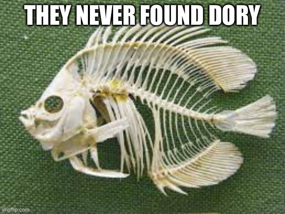 Mmmm watcha say | THEY NEVER FOUND DORY | image tagged in finding dory | made w/ Imgflip meme maker