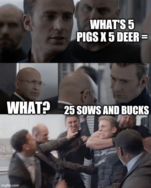Captain america elevator | WHAT'S 5 PIGS X 5 DEER =; WHAT? 25 SOWS AND BUCKS | image tagged in captain america elevator | made w/ Imgflip meme maker