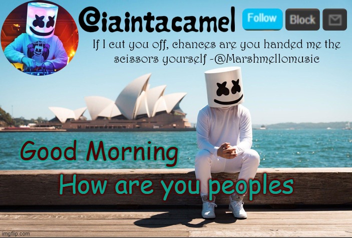 i slept 3 hours XD | How are you peoples; Good Morning | image tagged in iaintacamel | made w/ Imgflip meme maker