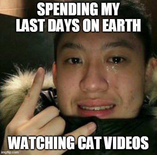 SPENDING MY LAST DAYS ON EARTH WATCHING CAT VIDEOS | made w/ Imgflip meme maker