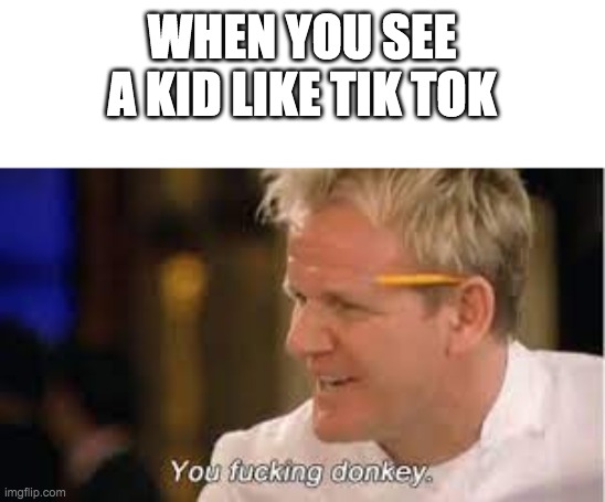 you f****** donkey - gordon ramsay | WHEN YOU SEE A KID LIKE TIK TOK | image tagged in you f donkey - gordon ramsay | made w/ Imgflip meme maker