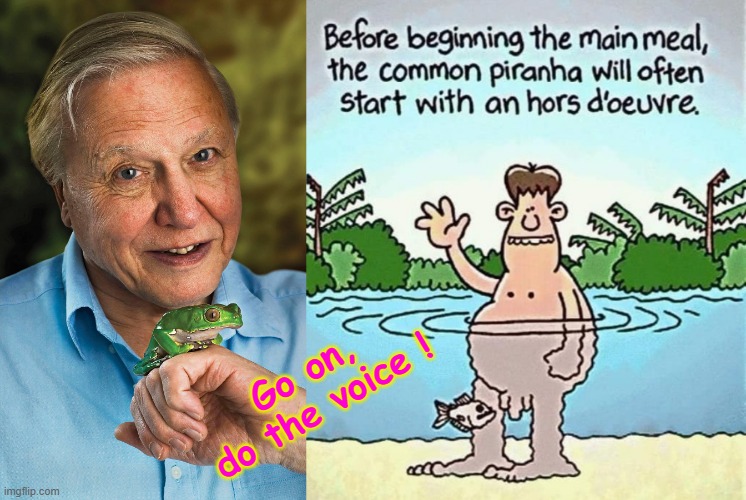 Go on, do the voice ! | Go on,
do the voice ! | image tagged in dick jokes | made w/ Imgflip meme maker