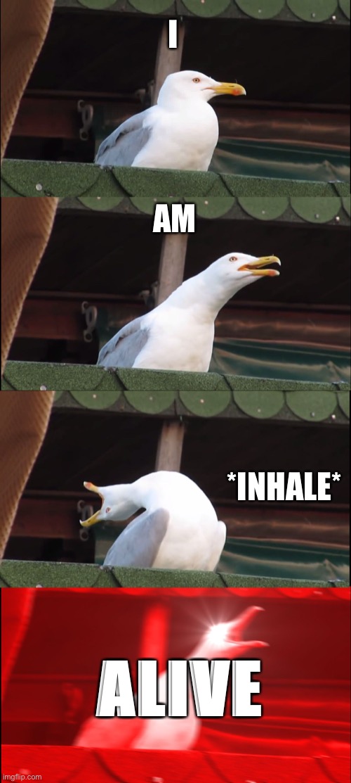 ALIVVVVEEE | I; AM; *INHALE*; ALIVE | image tagged in memes,inhaling seagull | made w/ Imgflip meme maker
