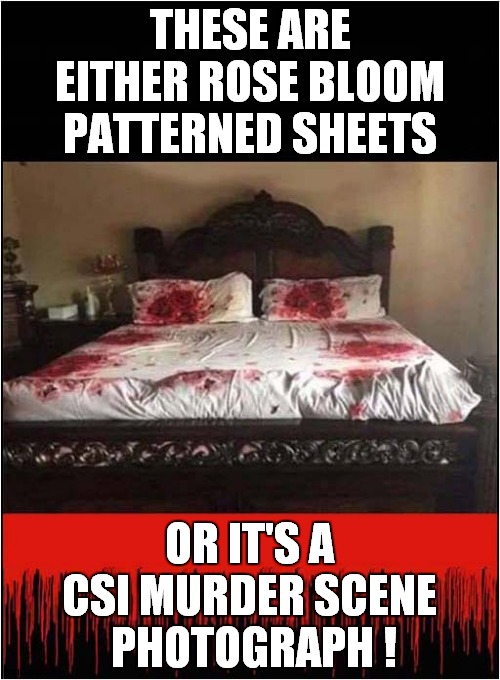 What Were They Thinking ? | THESE ARE EITHER ROSE BLOOM PATTERNED SHEETS; OR IT'S A CSI MURDER SCENE
 PHOTOGRAPH ! | image tagged in bed,roses,csi | made w/ Imgflip meme maker