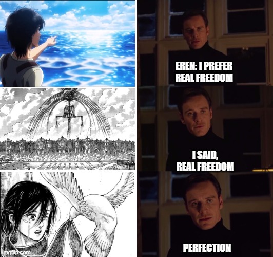 perfection | EREN: I PREFER REAL FREEDOM; I SAID, REAL FREEDOM; PERFECTION | image tagged in perfection | made w/ Imgflip meme maker