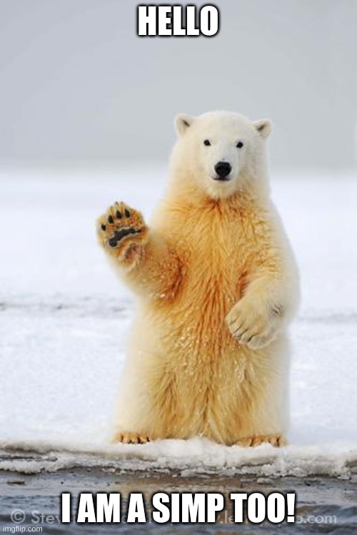 hello polar bear | HELLO I AM A SIMP TOO! | image tagged in hello polar bear | made w/ Imgflip meme maker