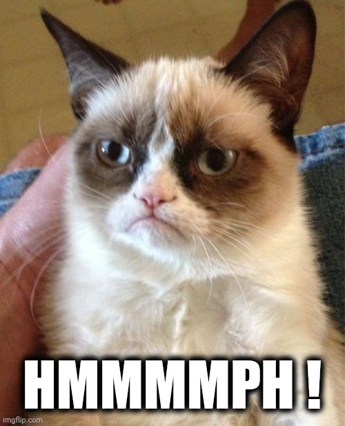 Grumpy Cat Meme | HMMMMPH ! | image tagged in memes,grumpy cat | made w/ Imgflip meme maker