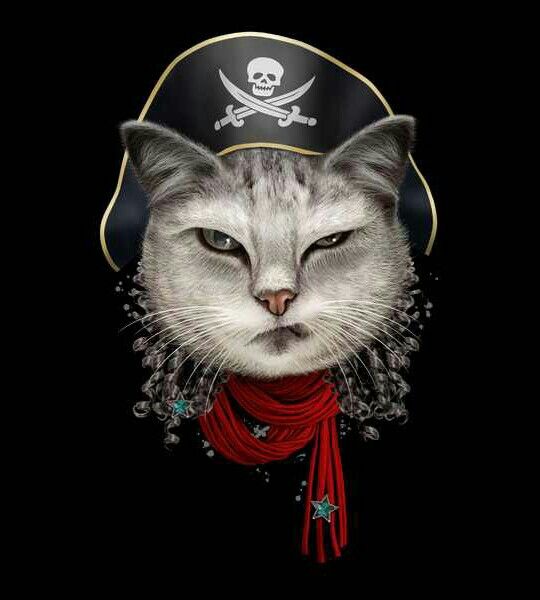 High Quality pirate chain cat ARRR Blank Meme Template