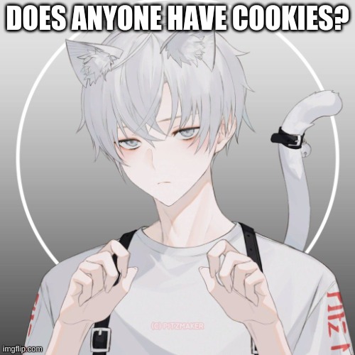 Name: Angel! | DOES ANYONE HAVE COOKIES? | image tagged in roleplaying | made w/ Imgflip meme maker