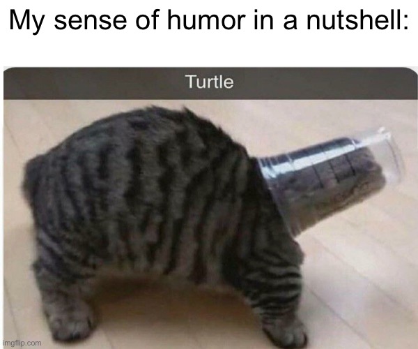 hehe | My sense of humor in a nutshell: | image tagged in funny | made w/ Imgflip meme maker