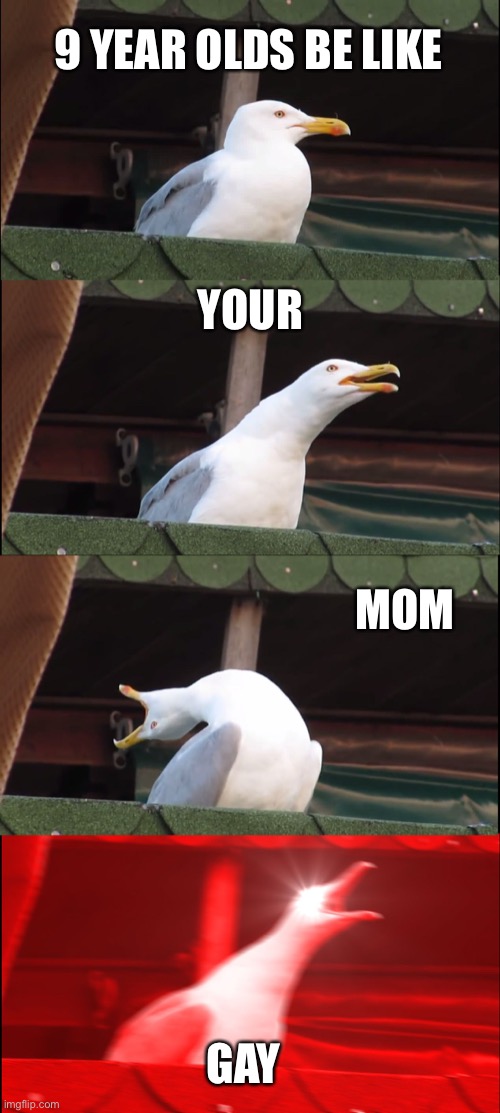 Gey | 9 YEAR OLDS BE LIKE; YOUR; MOM; GAY | image tagged in memes,inhaling seagull | made w/ Imgflip meme maker